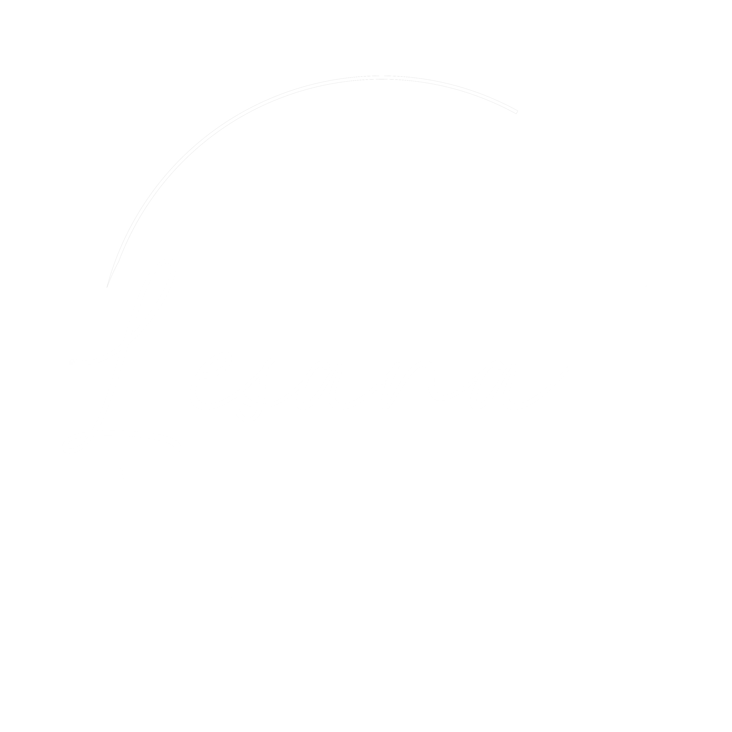 Hotel Lesana